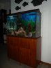 my tank.jpg