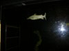 DSCN8106.JPG
