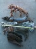 driftwood.JPG
