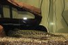IMG_0327.jpg