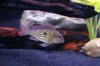 DSC02763.JPG