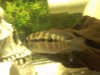 new pics 003.jpg
