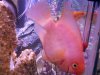 2010-11-21_16-40-44_101.jpg