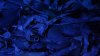 DSC00859.JPG