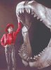 jaws.jpg