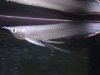 DSC01194.JPG