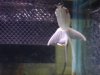 DSC01186.JPG