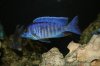 IMG_6748.JPG