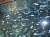 DSCN1179.jpg