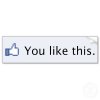 you-like-this-button.jpg