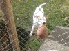 2010-11-28 13.06.05.jpg