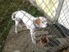 2010-11-28 13.05.59.jpg