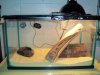 000_0162.JPG