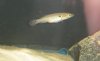 DSCN0434.JPG