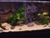 120g Insirational FTS.jpg