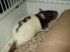 DSC00541.JPG