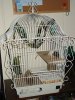 DSC00548.JPG