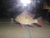 DSCN7685.JPG