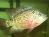 100_3790.JPG 100_3790.JPG