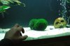 fishjhgjh 014.jpg