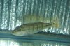DSC01136.JPG