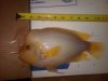 IMG00171-20101210-1450.jpg