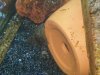 100_0371.JPG