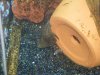 100_0370.JPG