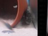 DSC01699.JPG