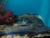 DSC01496.JPG