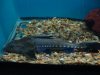 DSC01497.JPG