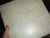 in pond tile.JPG