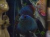 DSC04598.JPG