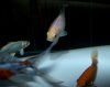 100_2888.JPG