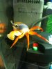 iphone pics 312.JPG