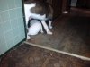 Sugar 025.jpg