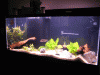 IMG_0074.gif