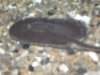 PDR_0652.JPG
