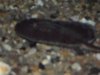 PDR_0655.JPG