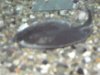PDR_0657.JPG