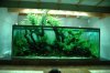 tank20.jpg