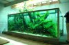 tank21.jpg