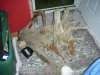 Camera 066.jpg