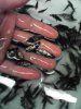 1205061828.jpg