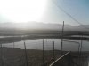 pond 2.jpg