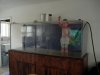DSCN4164.JPG