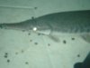 gar.JPG