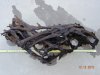 FISH 122710 279.jpg