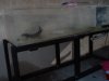 DSC04742.JPG