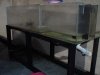 DSC04741.JPG